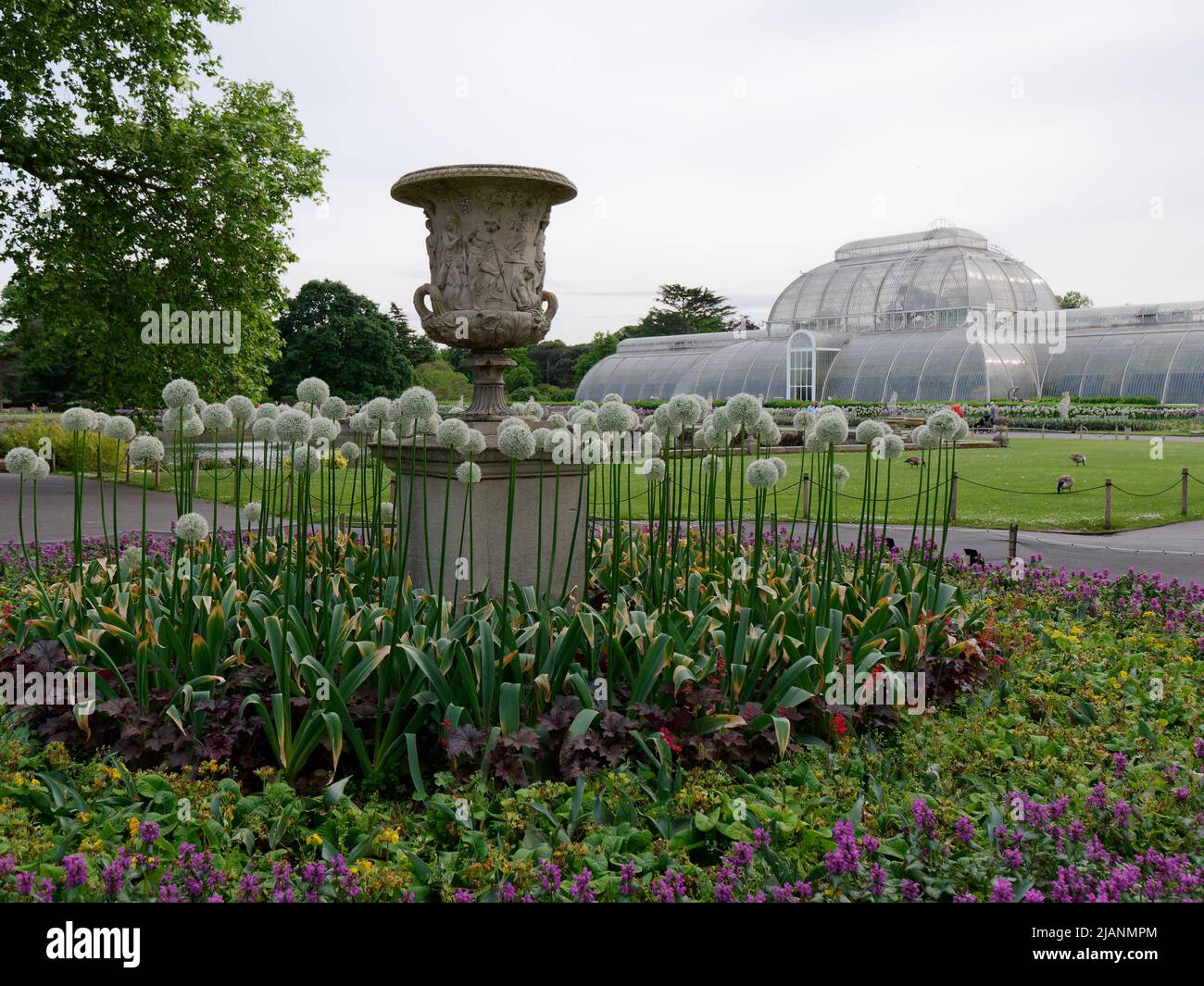 Richmond, Greater London, England, May 18 2022: Royal Botanic Gardens Kew. White flowers around a garden ornament with the Palm House behind. Stock Photo