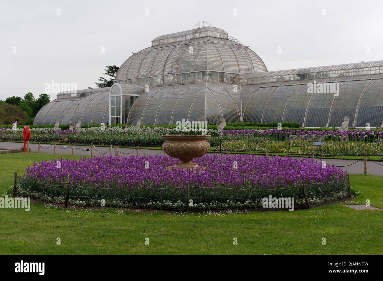 Richmond, Greater London, England, May 18 2022 Royal Botanic Gardens Kew. Purple flowers and a