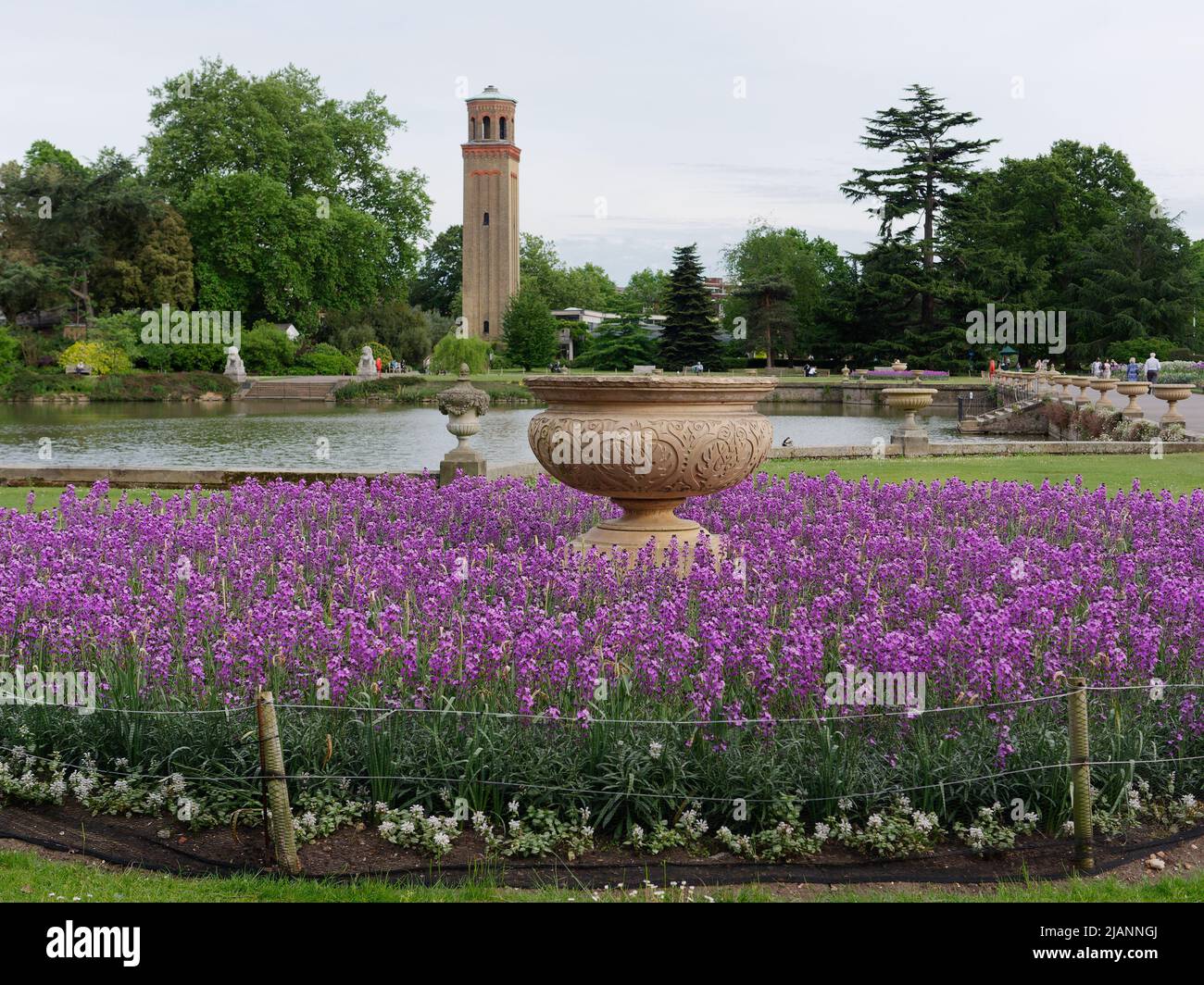 Richmond, Greater London, England, May 18 2022: Royal Botanic Gardens Kew. Purple flowers in front of a garden ornament with the pond and tower in the Stock Photo