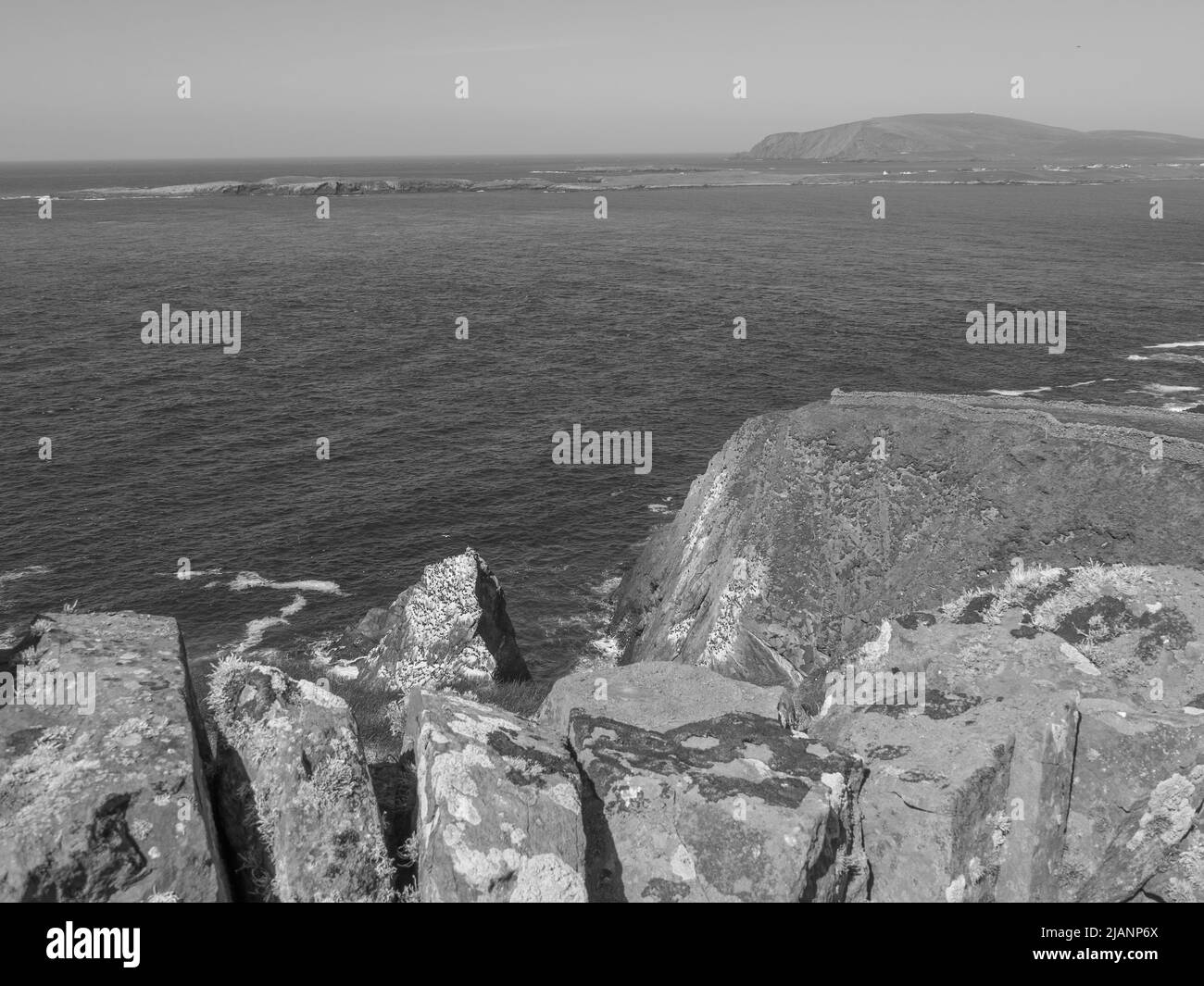 the Shetland island in scotland Stock Photo Alamy