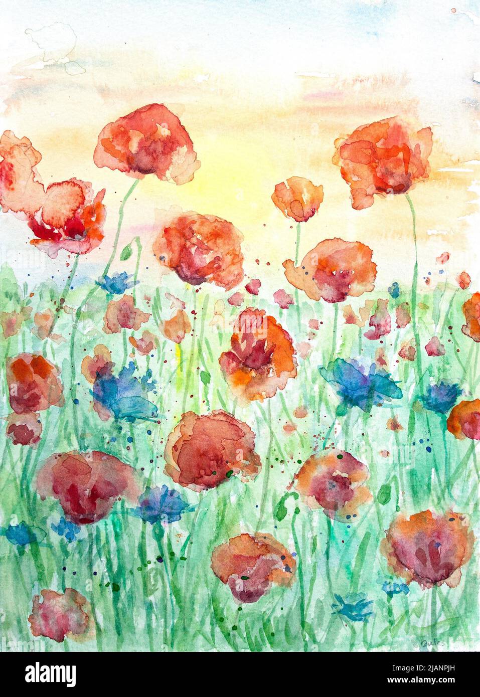 Watercolour poppies hi-res stock photography and images - Alamy