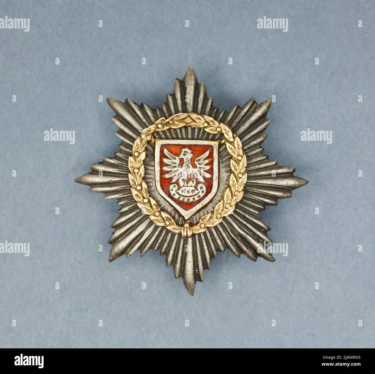 Miniature badges of the Secretariat of the General Secretariat of the Supreme National Committee Procaj Owowicz, Antoni Stanis AW (1876 1949) Stock Photo