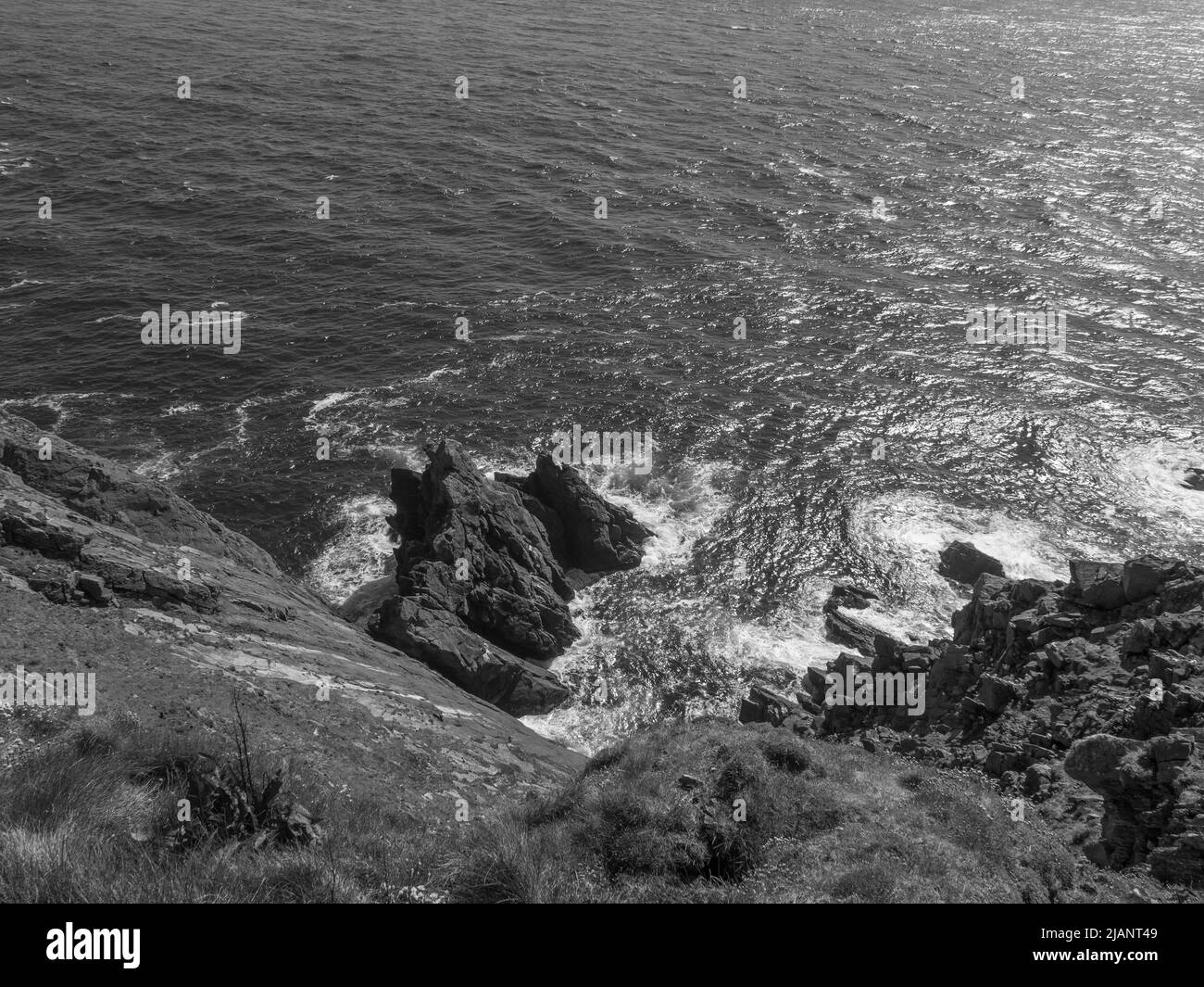 the Shetland island in scotland Stock Photo Alamy