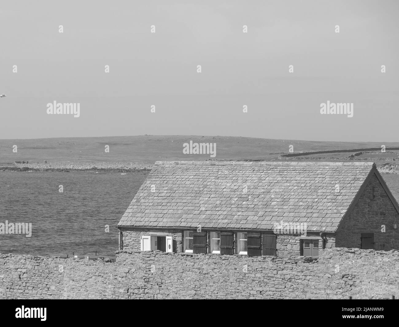 the Shetland island in scotland Stock Photo Alamy