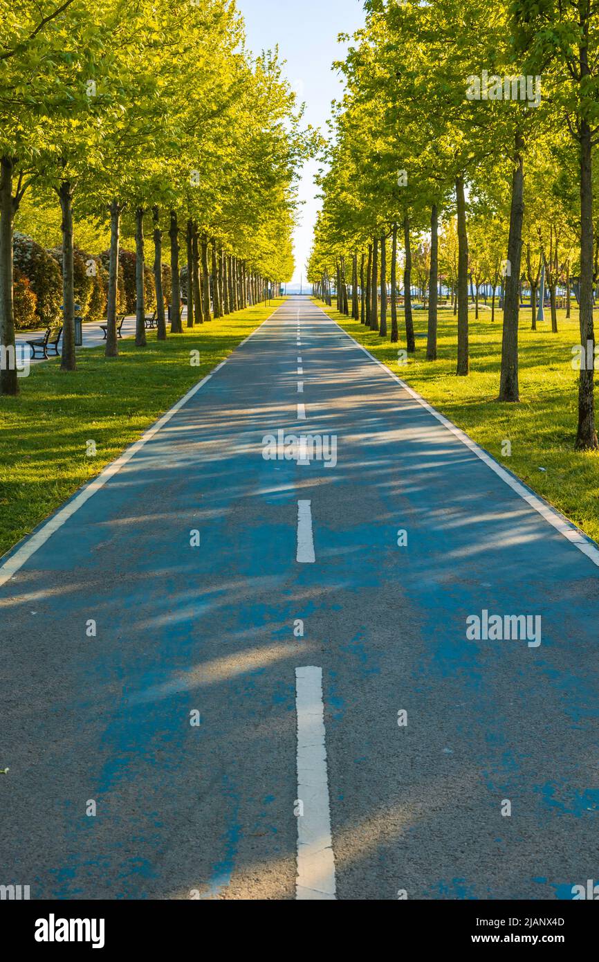 Bike road or bicycle path in the park. Two lanes of bike road and trees. Healthy lifestyle background photo. Stock Photo