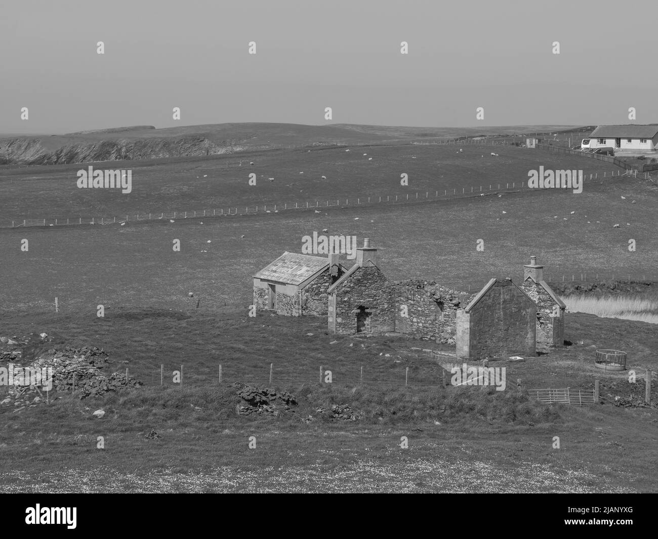 the Shetland island in scotland Stock Photo Alamy