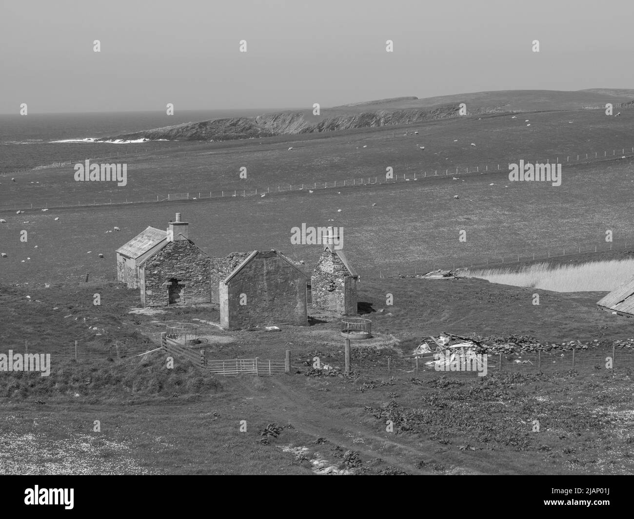 the Shetland island in scotland Stock Photo Alamy