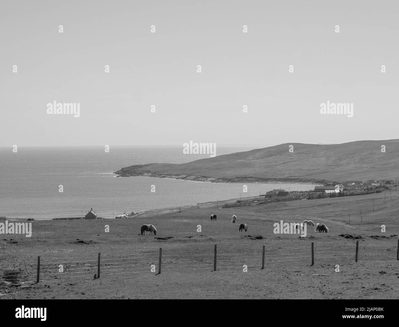 the Shetland island in scotland Stock Photo Alamy