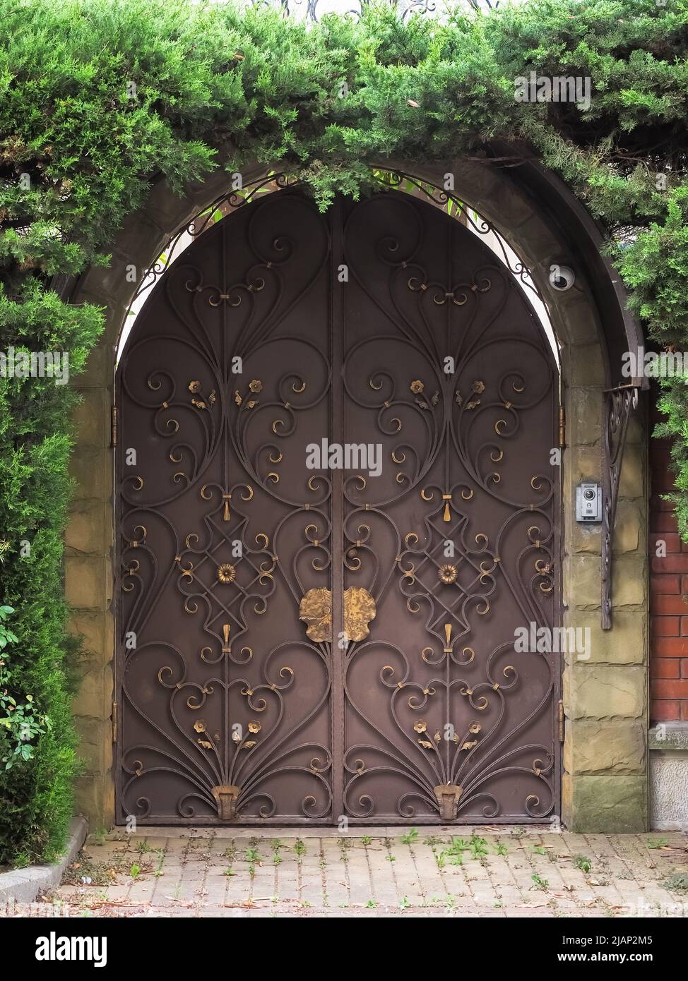 Forge Detail. Part Of A Wrought Iron Fence. Design Pink Iron Gate