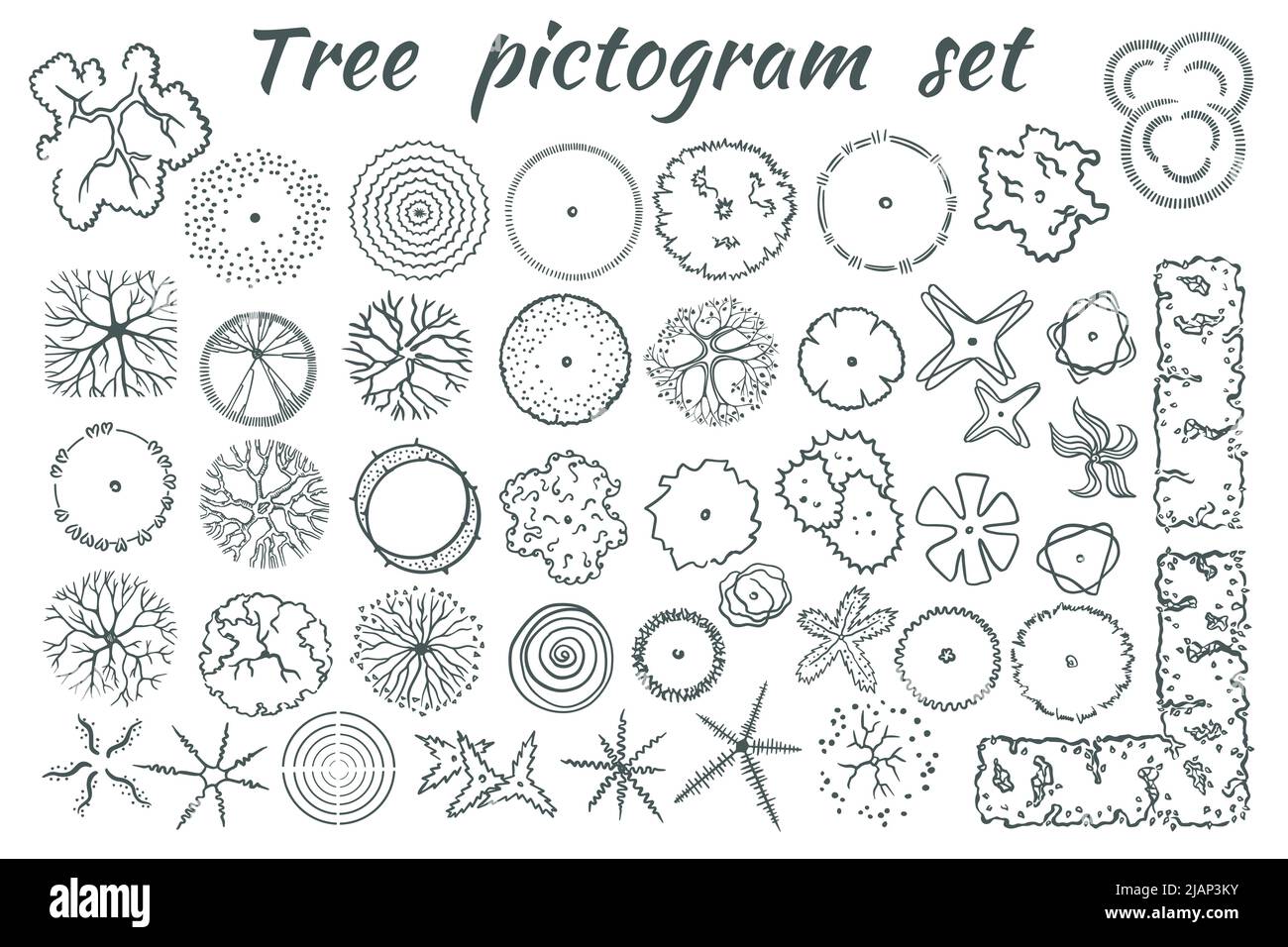 Tree Top View Sketch