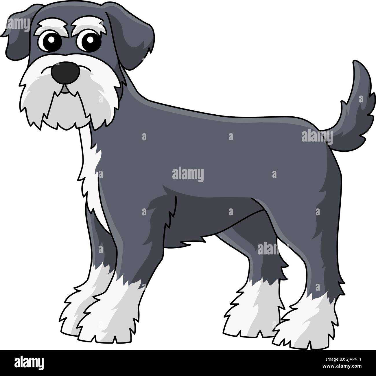 Schnauzer Dog Cartoon Colored Clipart Illustration Stock Vector Image