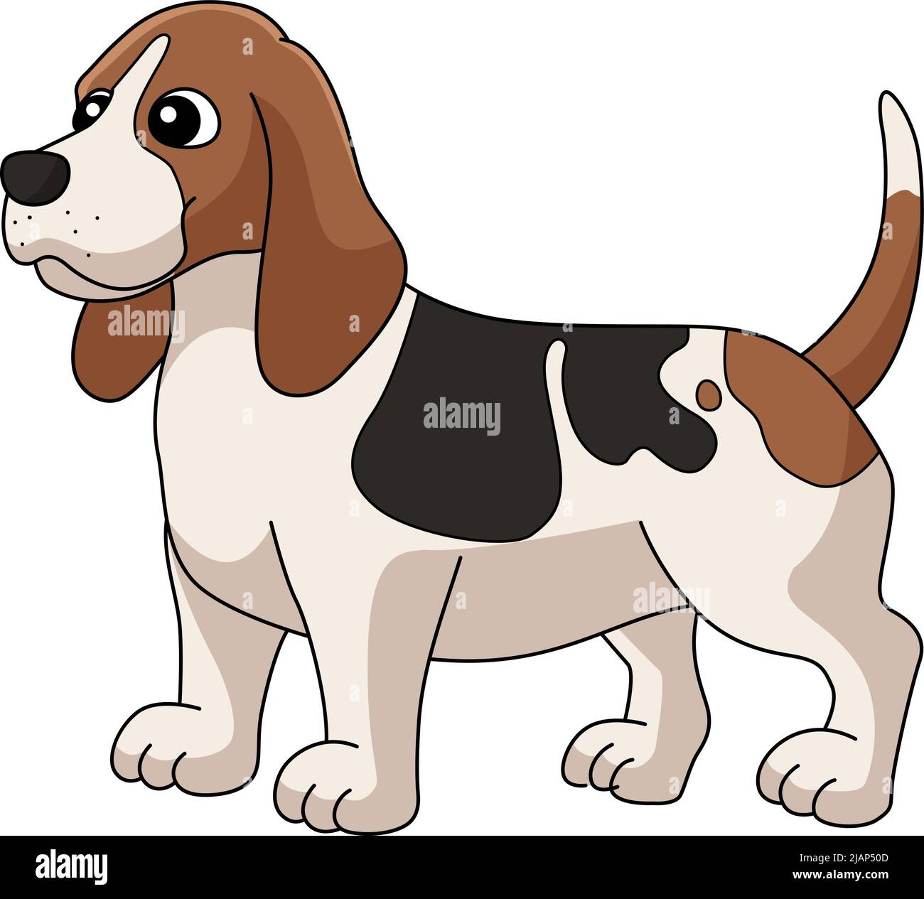 Basset Hound Dog Cartoon Clipart Illustration Stock Vector Image & Art Alamy