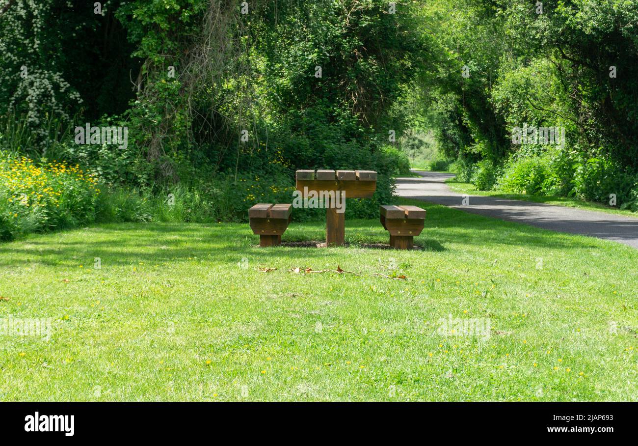 A wooden picnic table situated among lush greenery. Stock Photo