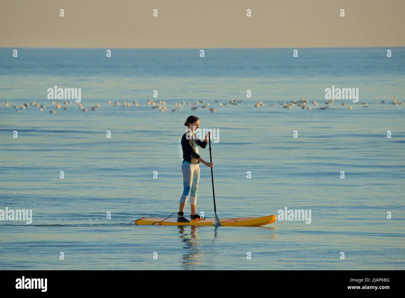 Woman paddleboarding in the sea off Brighton, East Sussex, England. Stock Photo