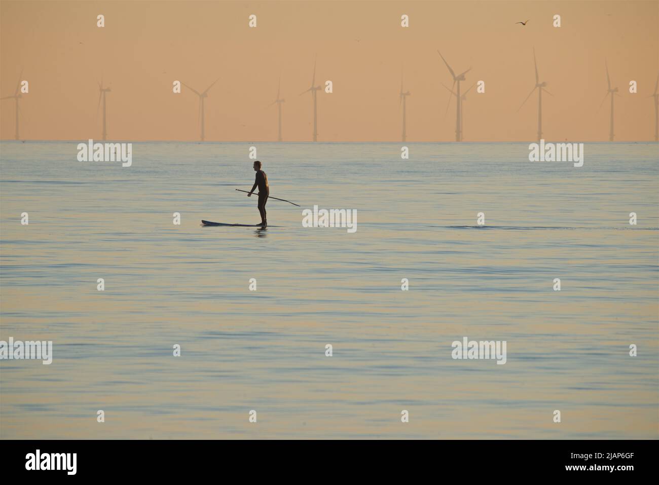 Person paddleboarding in the sea off Brighton, East Sussex, England, with the Rampion windfarm on the distant horizon. Stock Photo