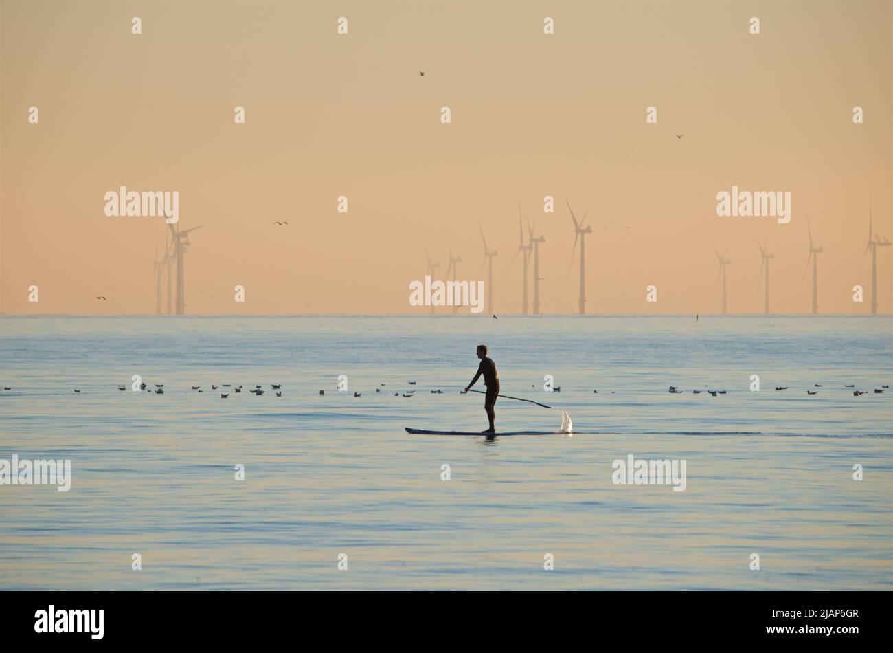 Person paddleboarding in the sea off Brighton, East Sussex, England, with the Rampion windfarm on the distant horizon. Stock Photo