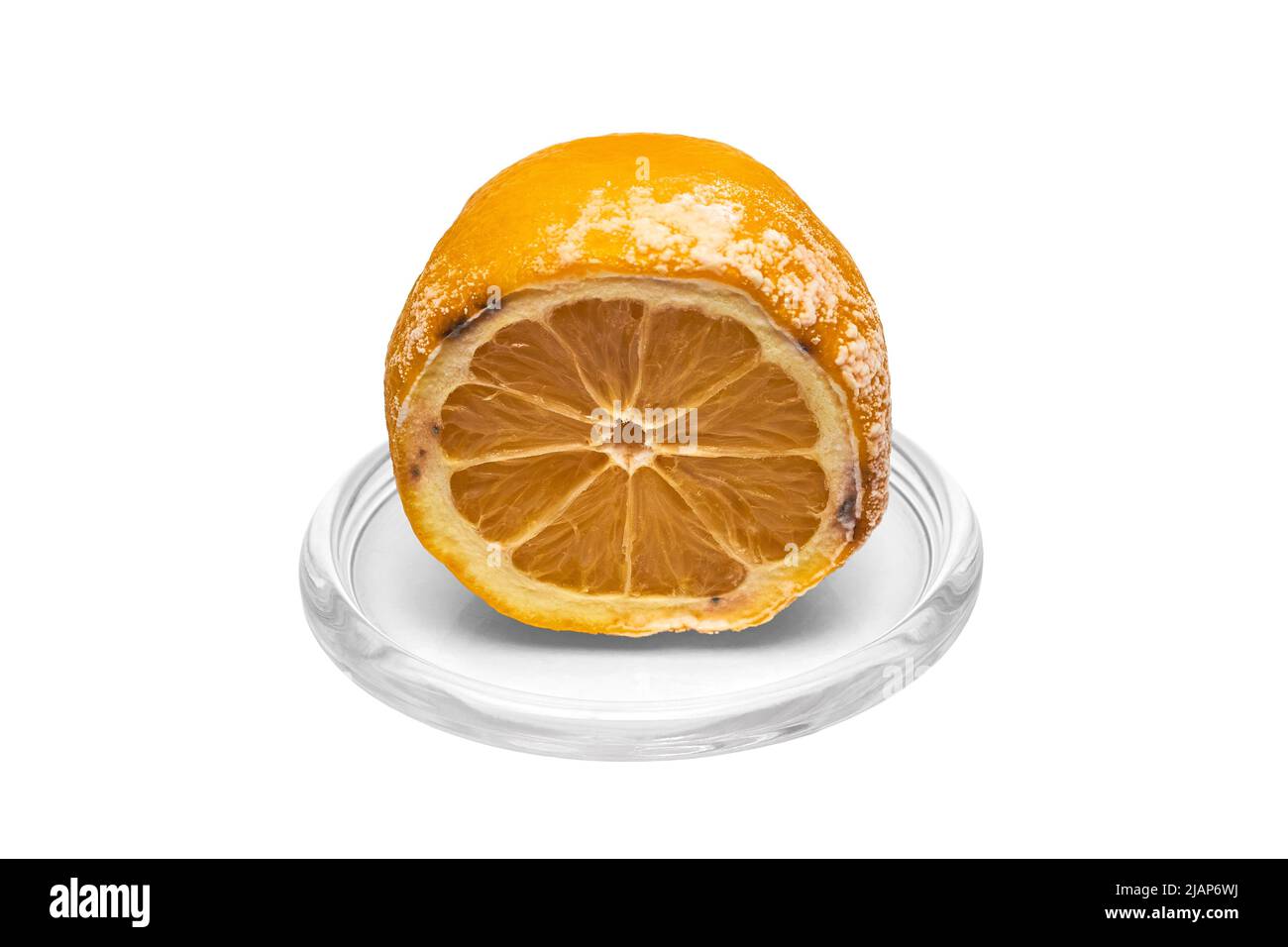 Rotten lemon with mold on a glass plate. Spoiled food. Isolated Stock Photo
