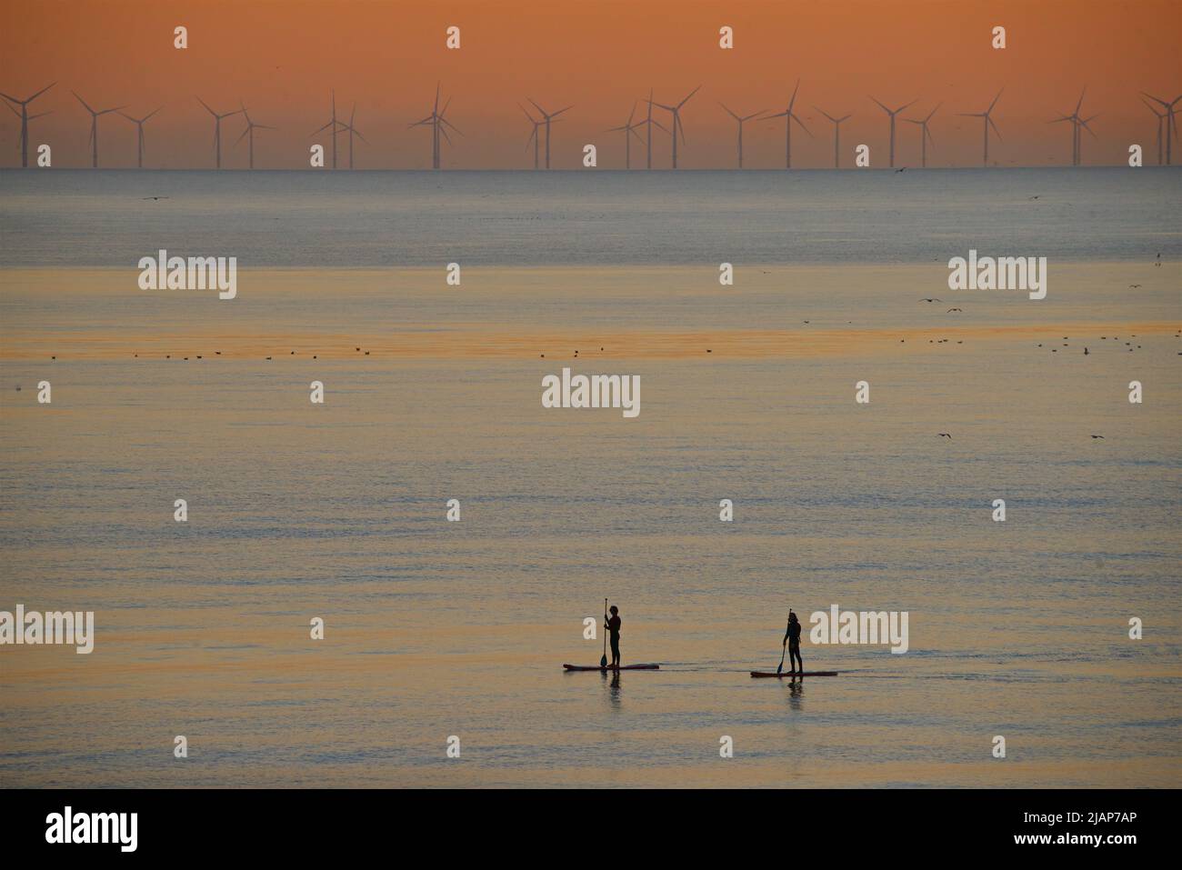 Paddleboarding couple in the sea off Brighton, East Sussex, England, with the Rampion windfarm on the distant horizon. Silhouettes at dusk. Stock Photo
