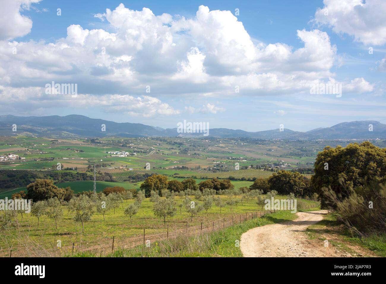 View over the mountains of Serrania de Ronda in Andalusia Spain Stock Photo