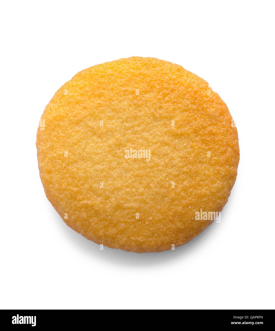 Round Vanilla Wafer Cookie Cut Out on White. Stock Photo
