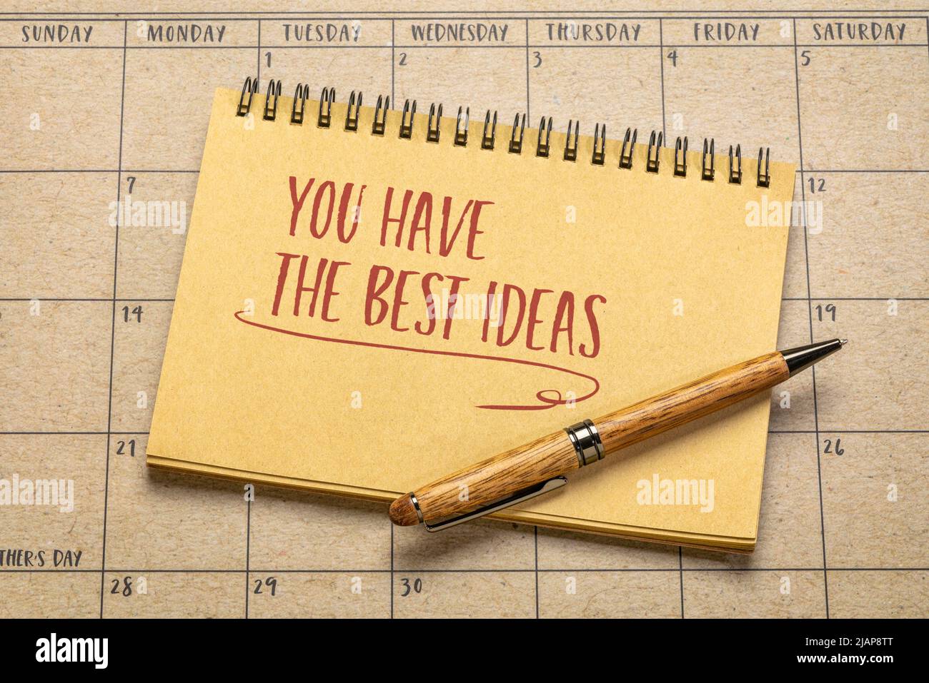 you have the best ideas - compliment or positive affirmation, handwriting in a sketchbook, creativity concept Stock Photo