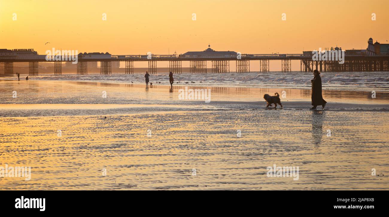 Dawn silhouettes of people on the beach at low tide, Brighton & Hove, East Sussex, England, UK. Morning walk with dog on the beach.  Brighton Palace Pier in the background. Stock Photo
