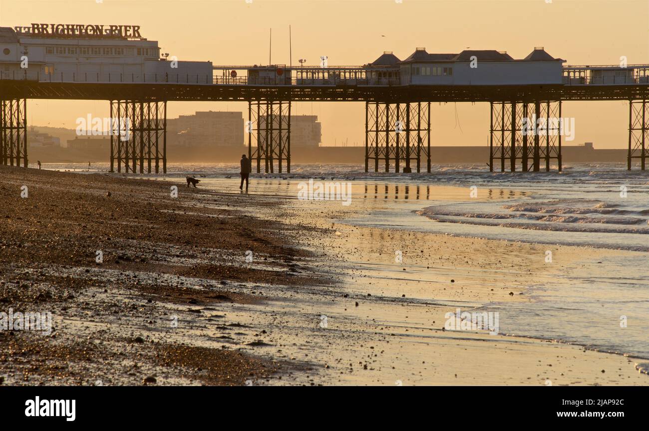 Dawn silhouettes of a man with a dog on the beach at low tide, Brighton & Hove, East Sussex, England, UK. Morning. Palace / Brighton Pier in the background. Stock Photo