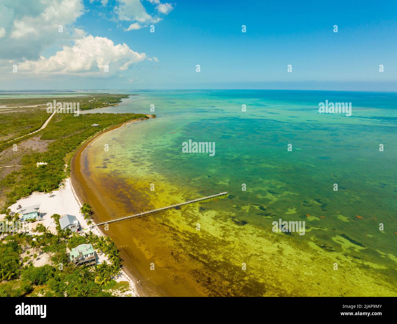 Florida Keys scuba diving destination Stock Photo Alamy