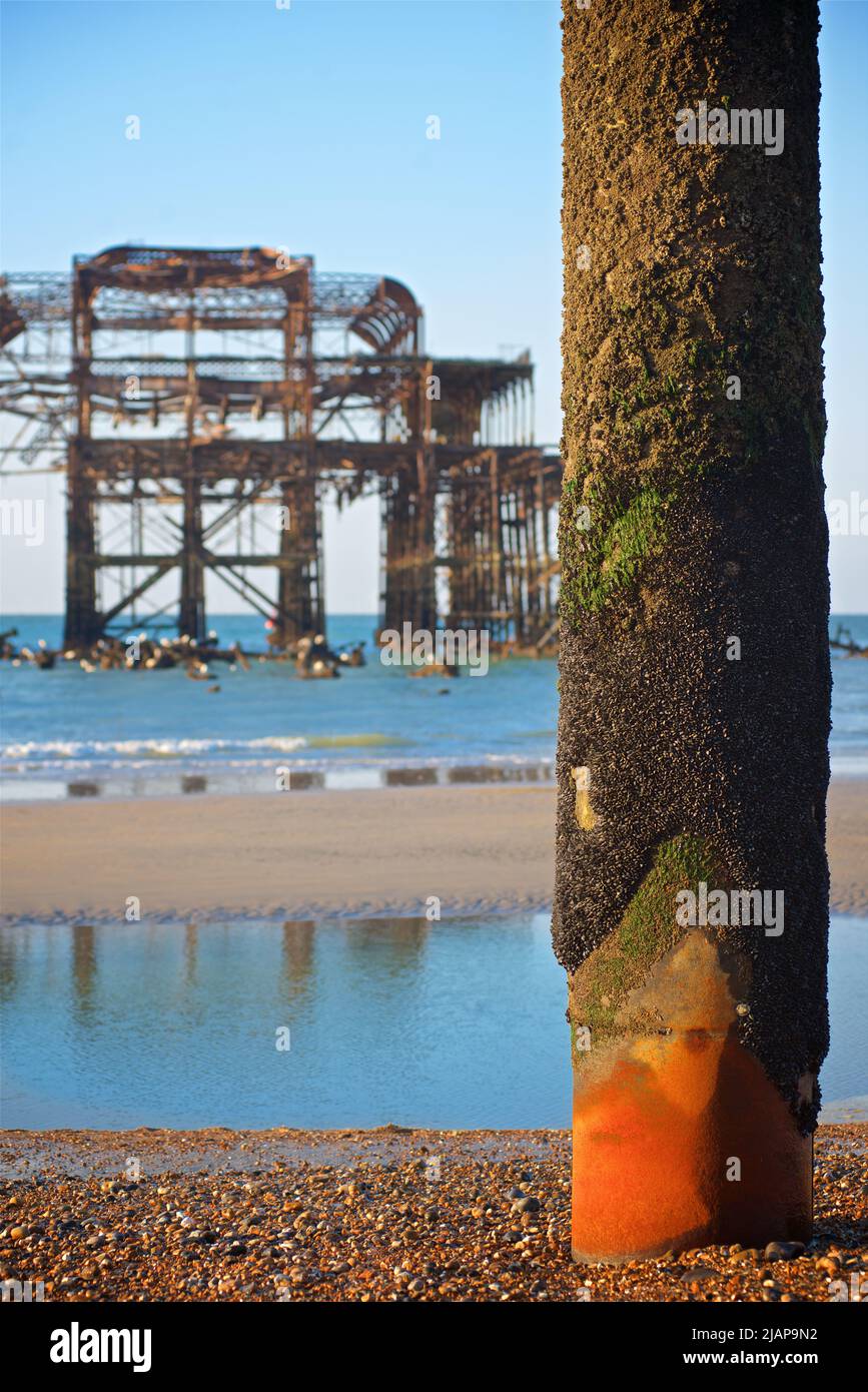 Rusting remains of the dilapidated West Pier at dawn low tide. Brighton & Hove, Sussex, England