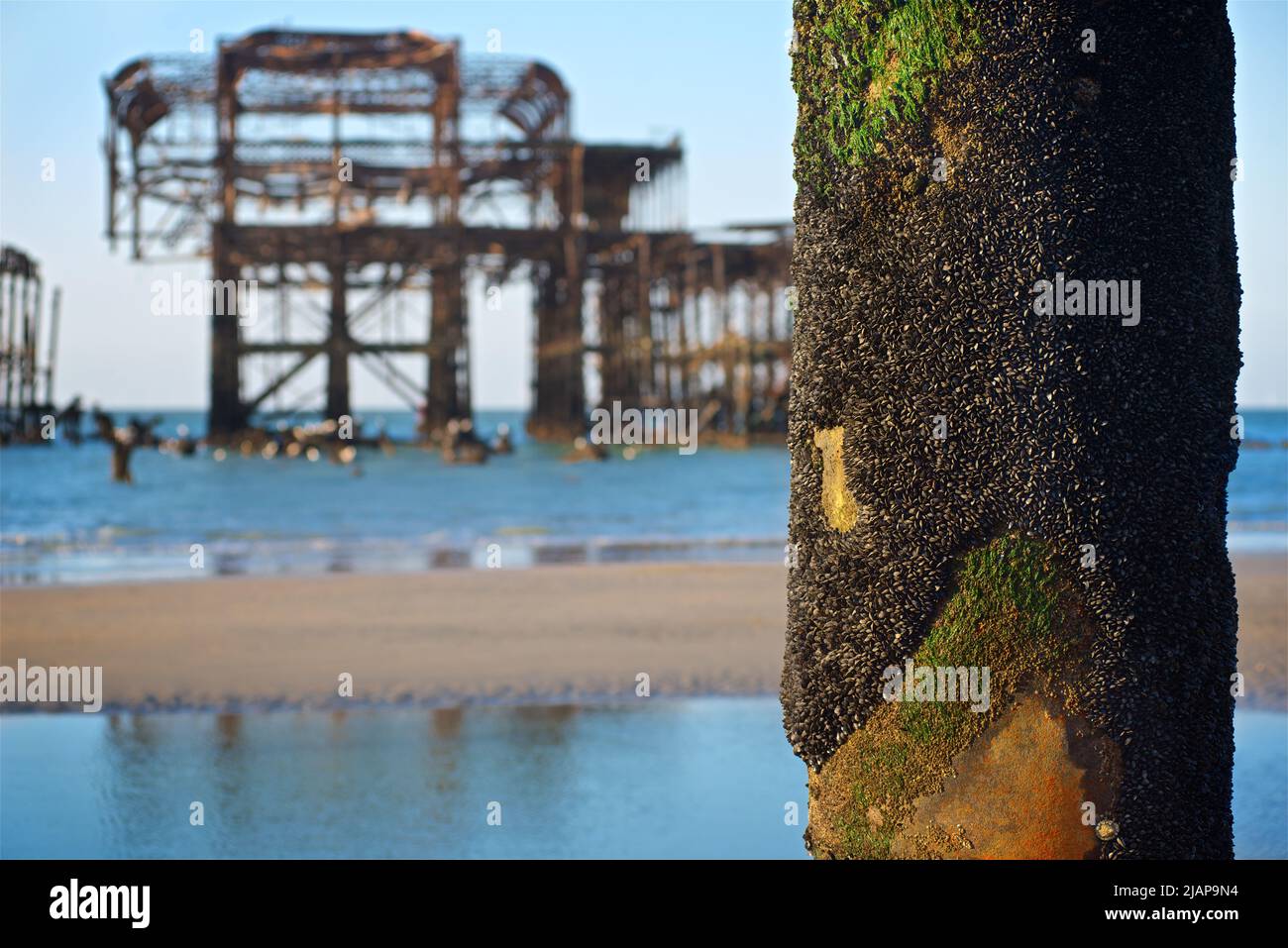 Rusting remains of the dilapidated West Pier at dawn low tide. Brighton & Hove, Sussex, England
