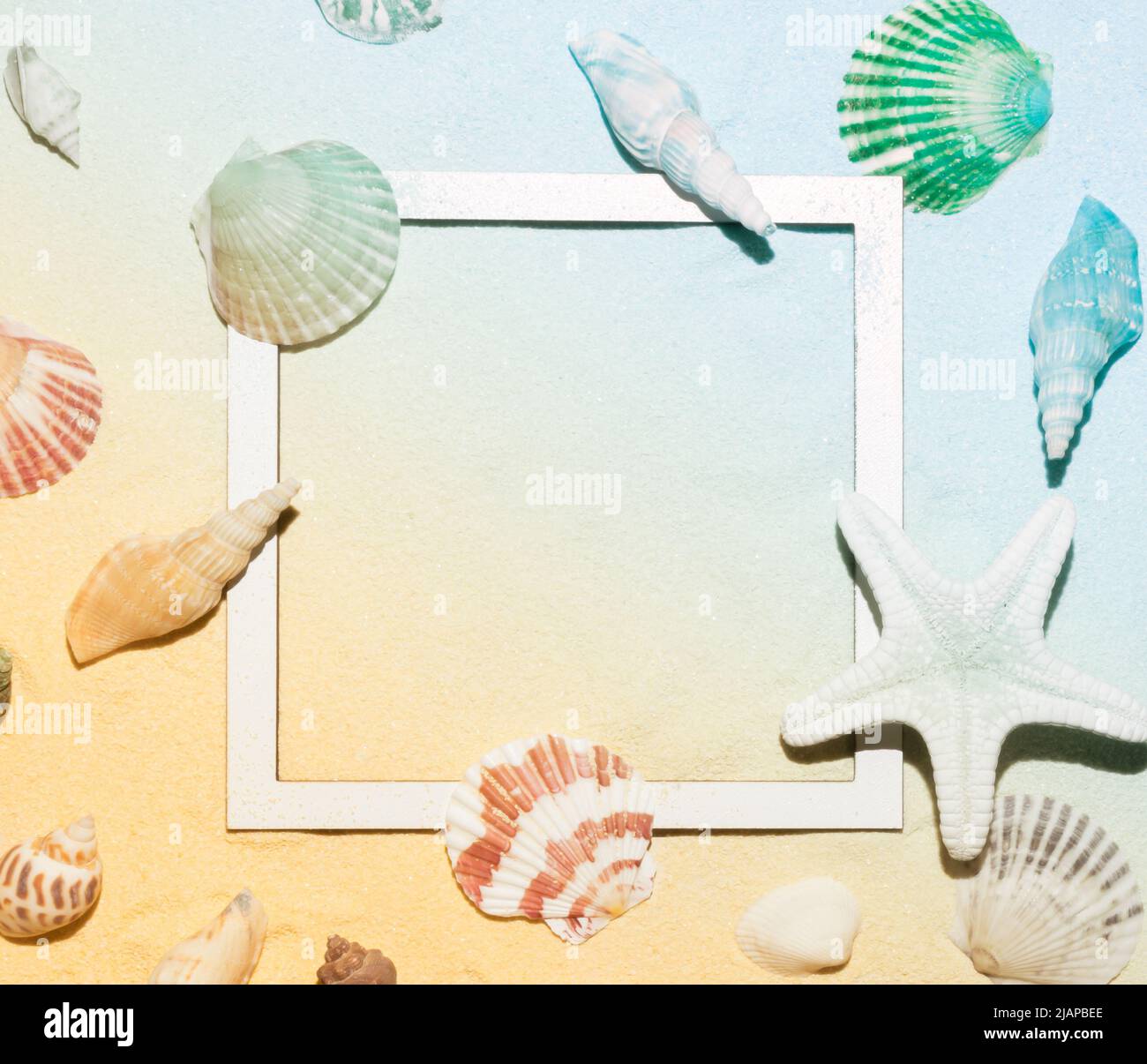 Top view of seashells pattern on sandy background. Minimal sunlight tropical flat lay arrangement. Creative copy space with paper frame. Stock Photo