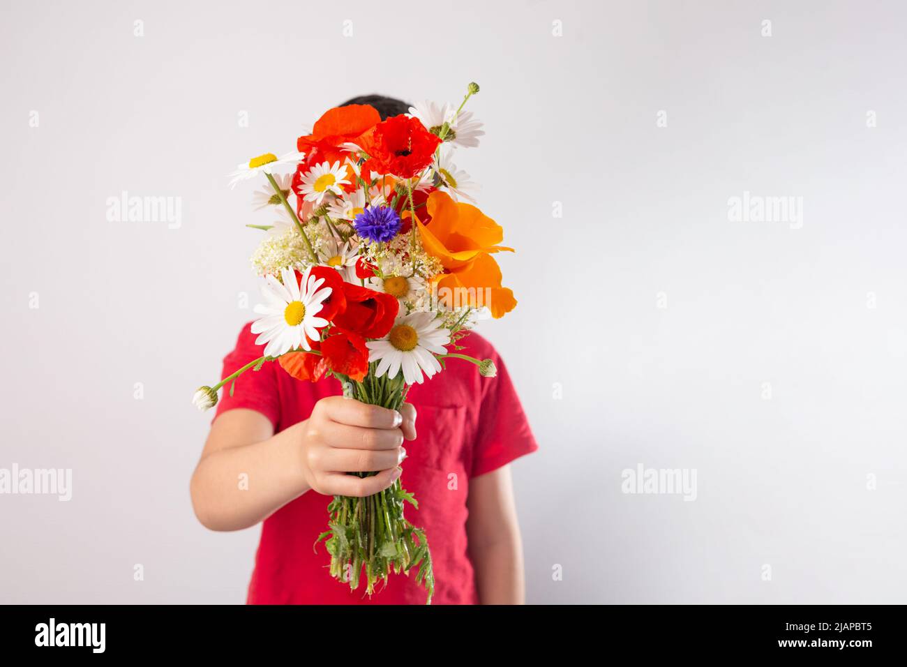 Hand picked meadow flower bouquet hires stock photography and images