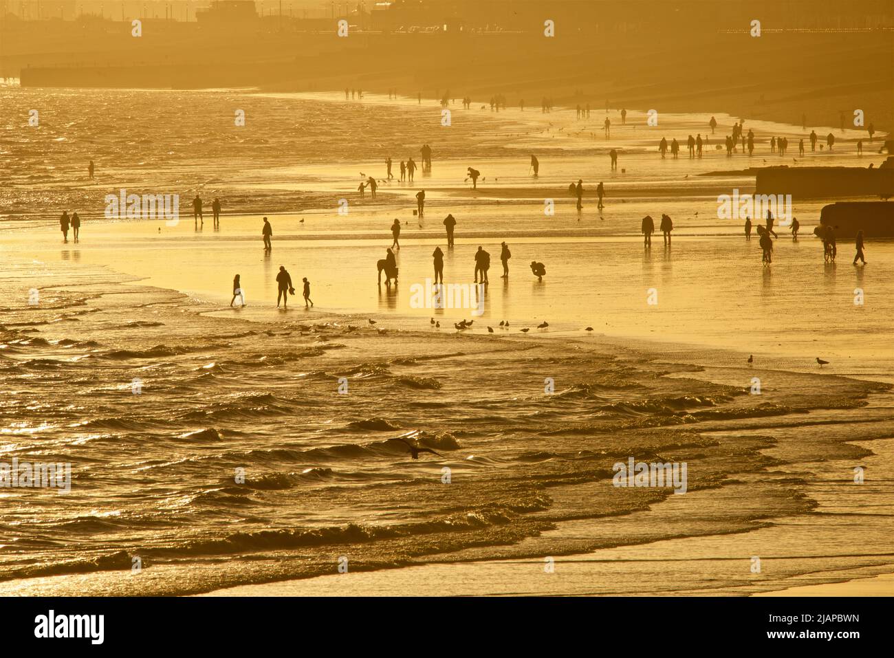 Silhouetted shapes of people on the beach at low tide, Brighton & Hove, East Sussex, England, UK