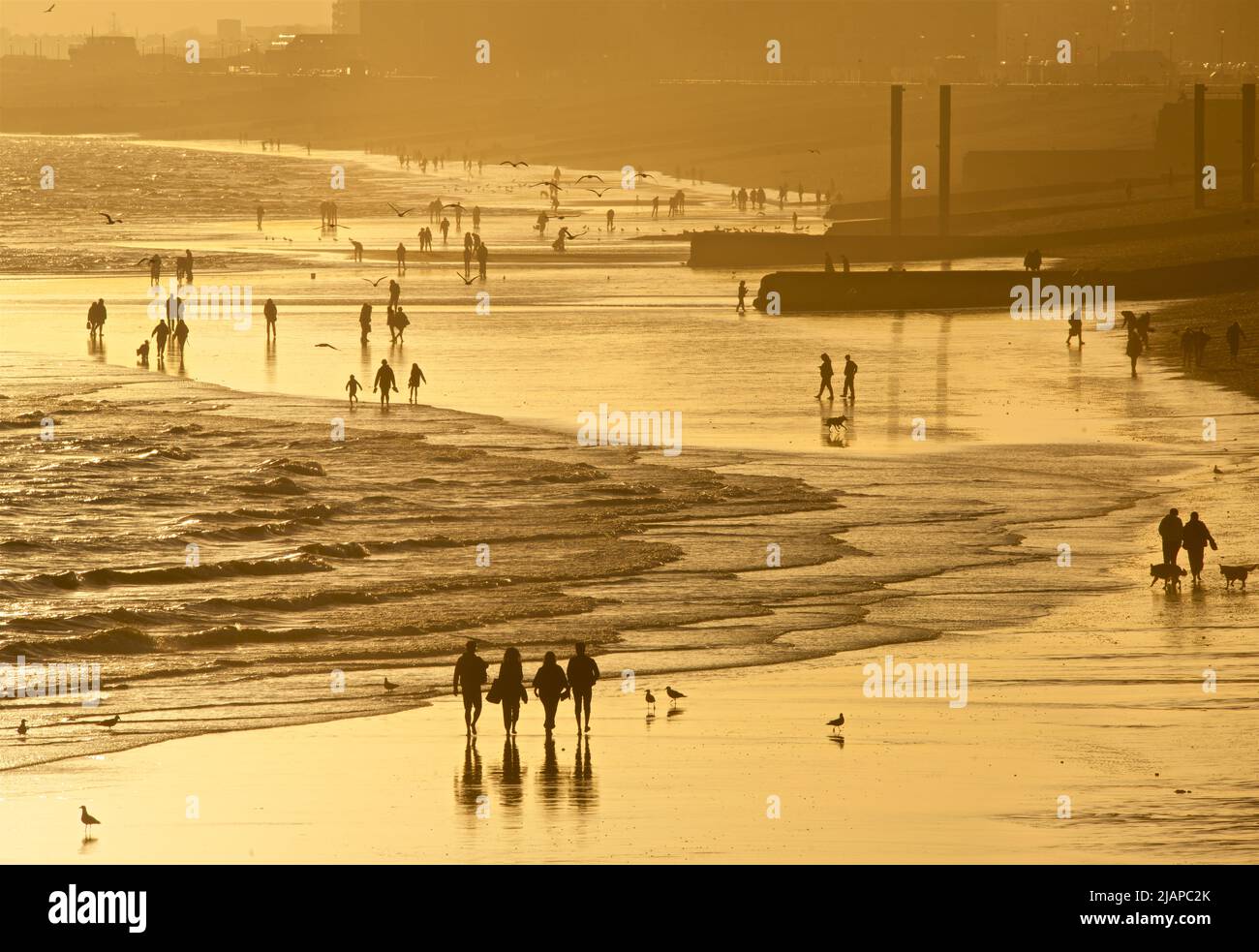 Silhouetted shapes of friends together and other people on the beach at low tide, Brighton & Hove, East Sussex, England, UK. {hotographed from the Palace Pier at sunset Stock Photo
