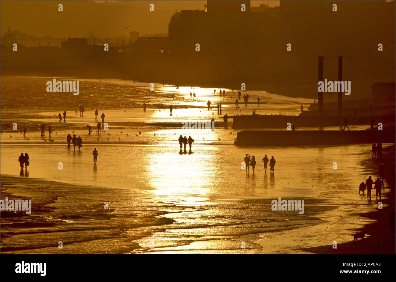 Silhouetted shapes of people on the beach at low tide, Brighton & Hove, East Sussex, England, UK. Shoreham Power Station in the distance. Vertical cast iron pillars of the old West Pier on the right. Stock Photo