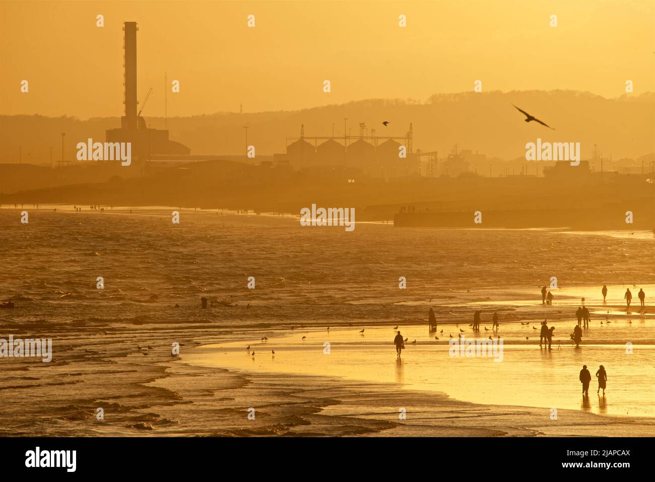 Silhouetted shapes of people on the beach at low tide, Brighton & Hove, East Sussex, England, UK. Shoreham Power Station in the distance. Stock Photo