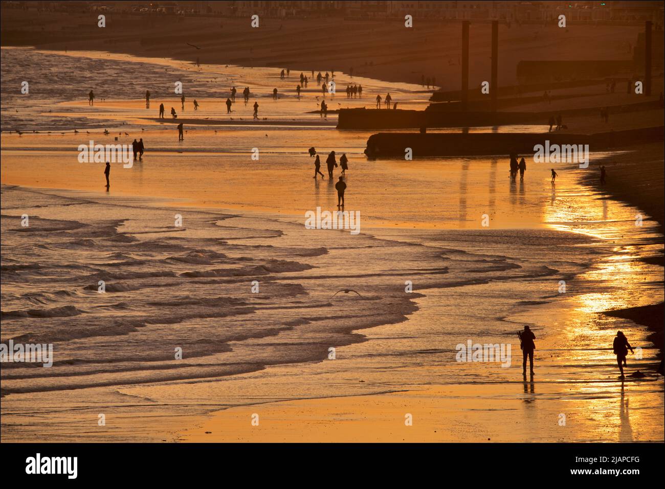 Silhouetted shapes of people on the beach at low tide, Brighton & Hove, East Sussex, England, UK