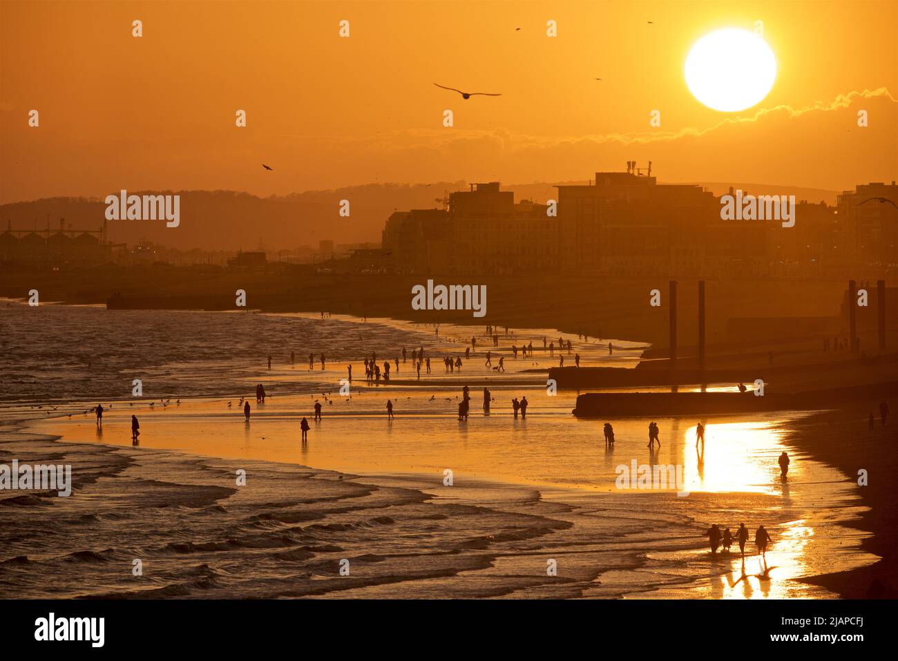 Silhouetted shapes of people on the beach at low tide, Brighton & Hove, East Sussex, England, UK. The sun setting. Vertical cast iron pillars of the old West Pier on the right. Stock Photo