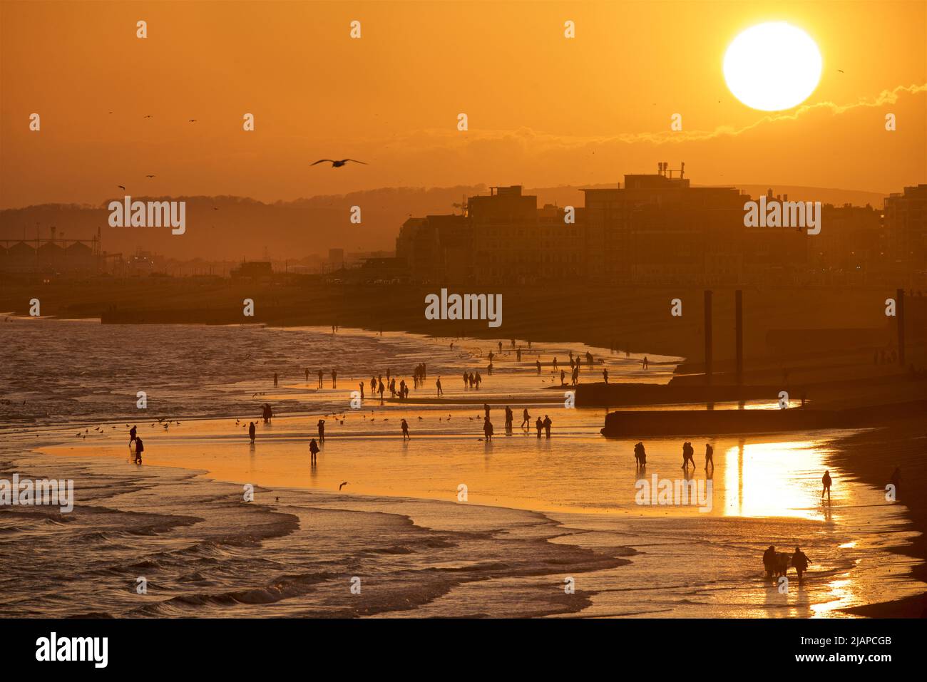 Silhouetted shapes of people on the beach at low tide, Brighton & Hove, East Sussex, England, UK