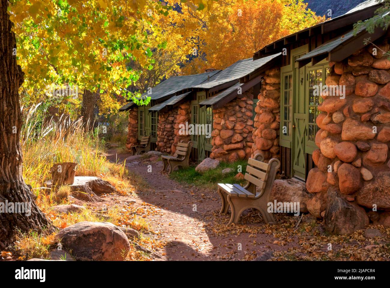 Grand Canyon National Park, Arizona, United States of America. . Phantom Ranch's 1920's era cabins, designed by Mary Colter, are alight with the winter sun filtered through golden cottonwood leaves.  An optimised version of a US National Park Service. Photo credit: NPS Stock Photo