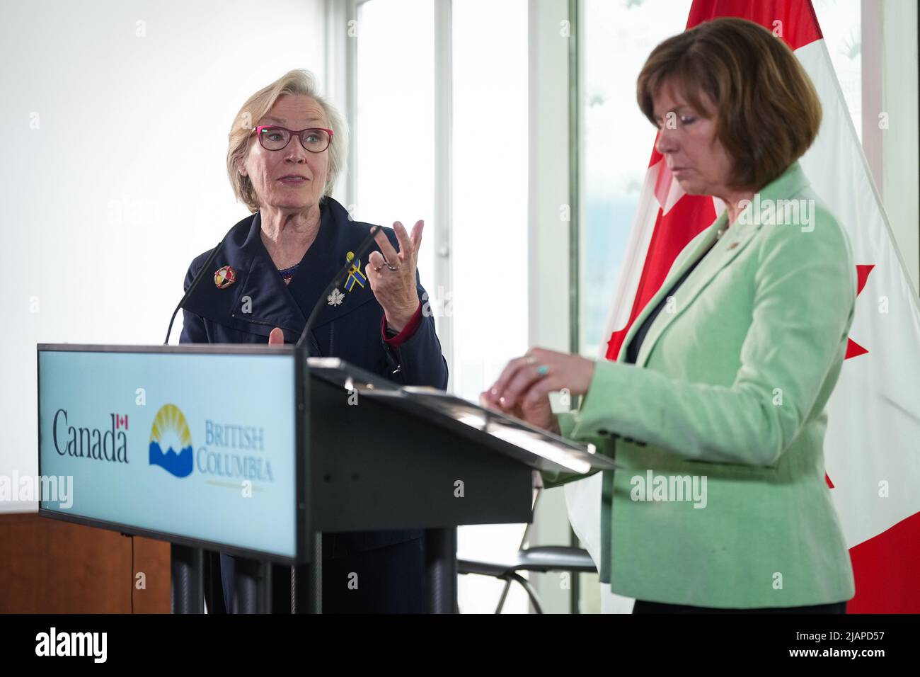 Federal Minister of Mental Health and Addictions and Associate 