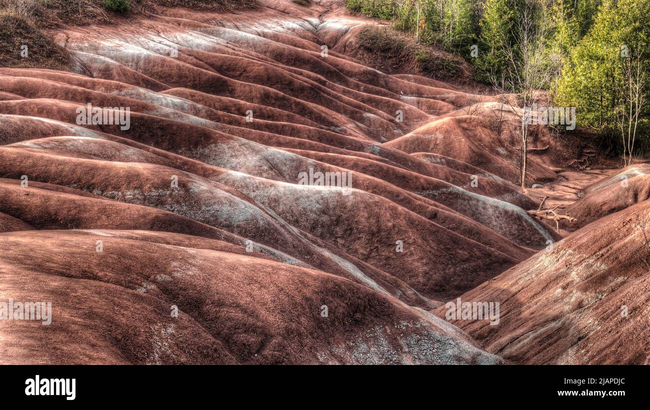 The Cheltenham Badlands in Caledon, Ontario, Canada, occupy an area of almost half a square kilometre and feature exposed and highly eroded Queenston shale. The site is a Provincial Earth Sciences Area of Natural and Scientific Interest (ANSI) since it is considered one of the best examples of 'badlands topography' in Ontario. Stock Photo
