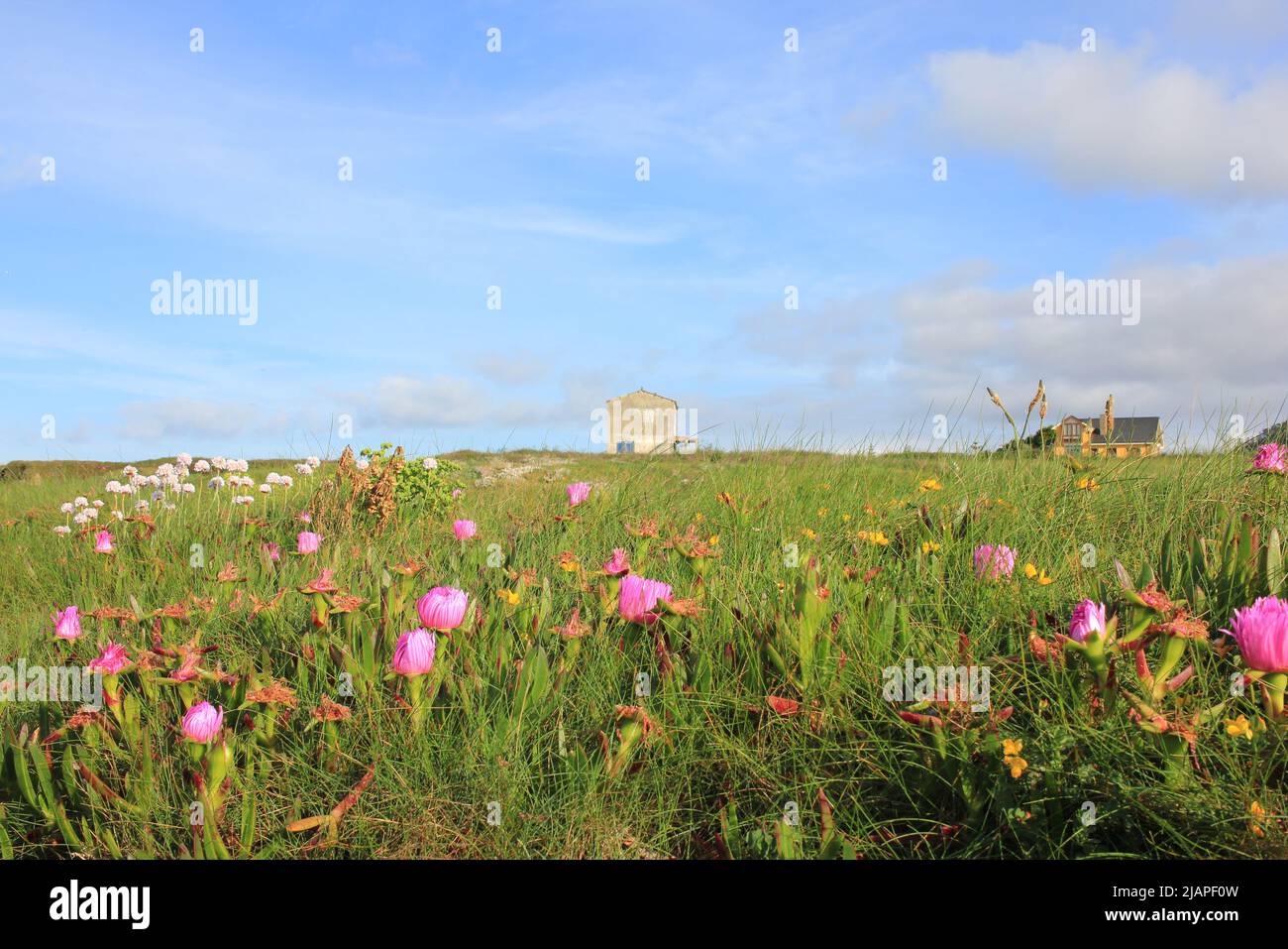 flowers make spring the most beautiful season of the year Stock Photo