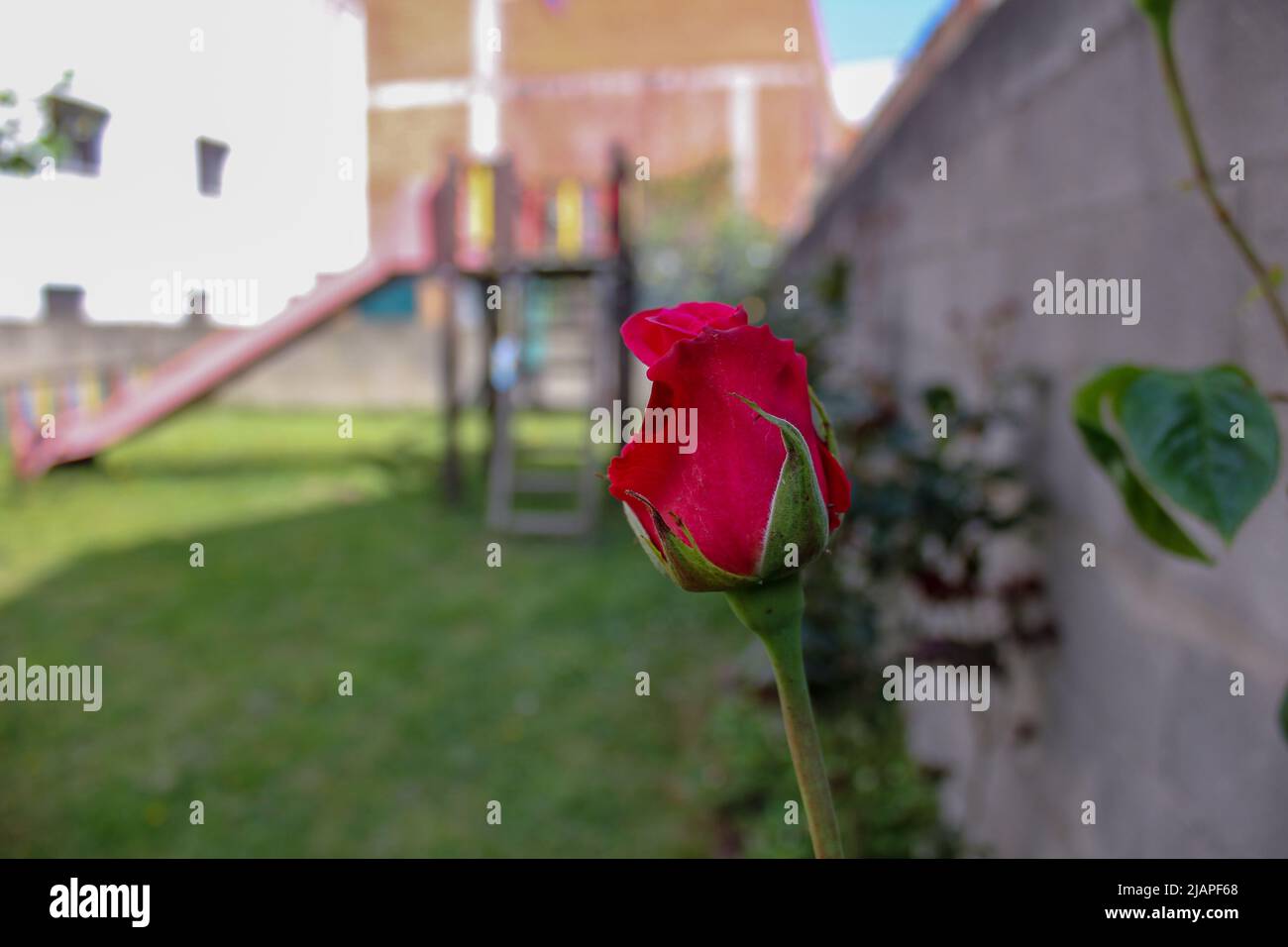 flowers make spring the most beautiful season of the year Stock Photo