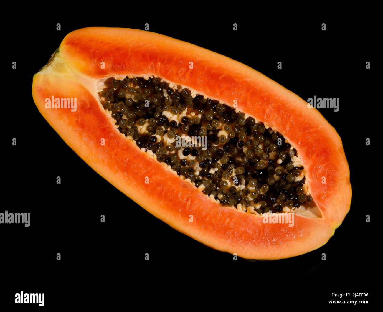 Freshly cut Papaya against black background. The papaya, papaw, or pawpaw is the plant Carica papaya, one of the 22 accepted species in the genus Carica of the family Caricaceae. It was first domesticated in Mesoamerica, within modern-day southern Mexico and Central America. In 2020, India produced 43% of the world supply of papayas. Stock Photo