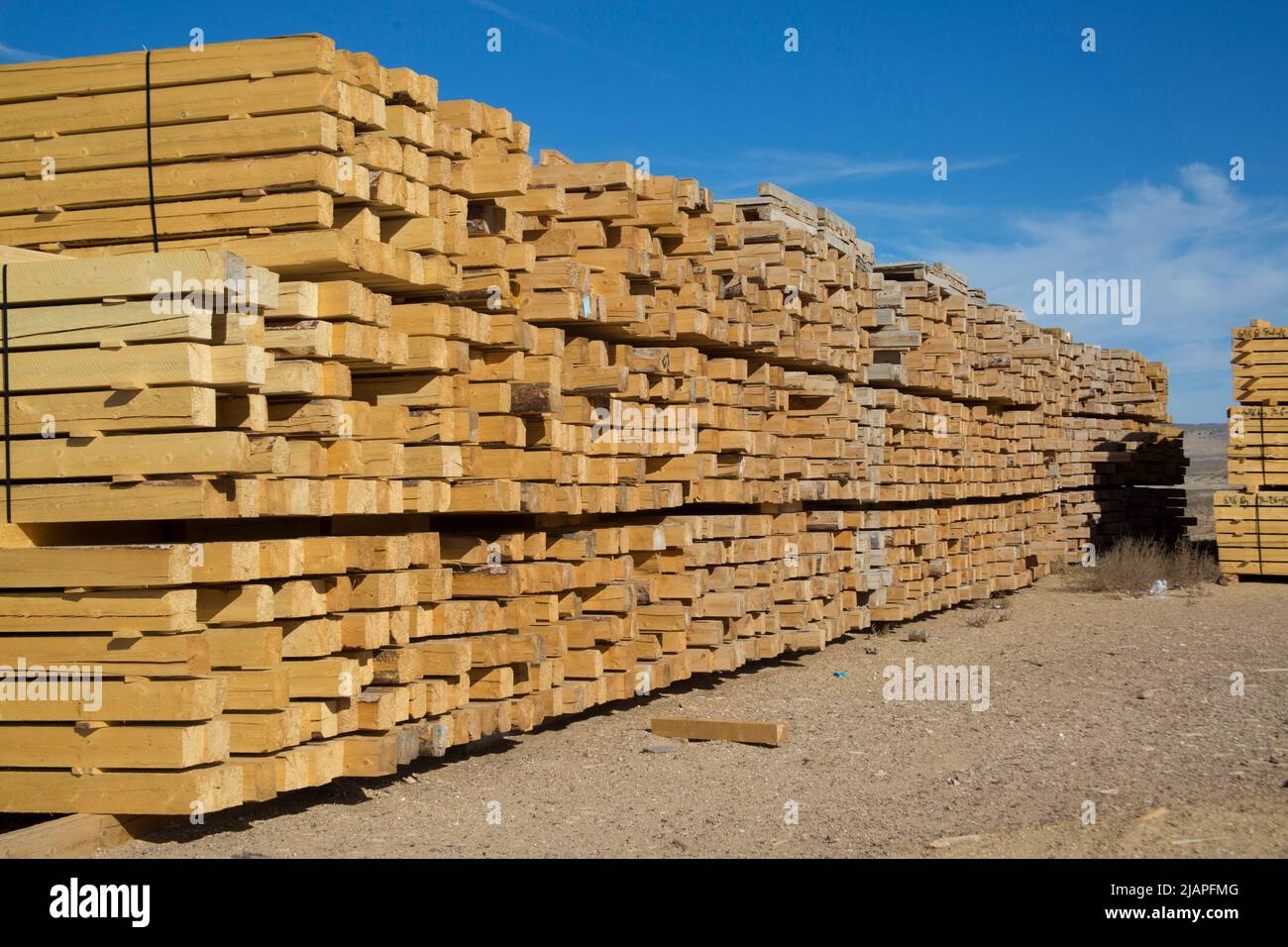 A timber yard selling timber. Lumber yard Stock Photo Alamy