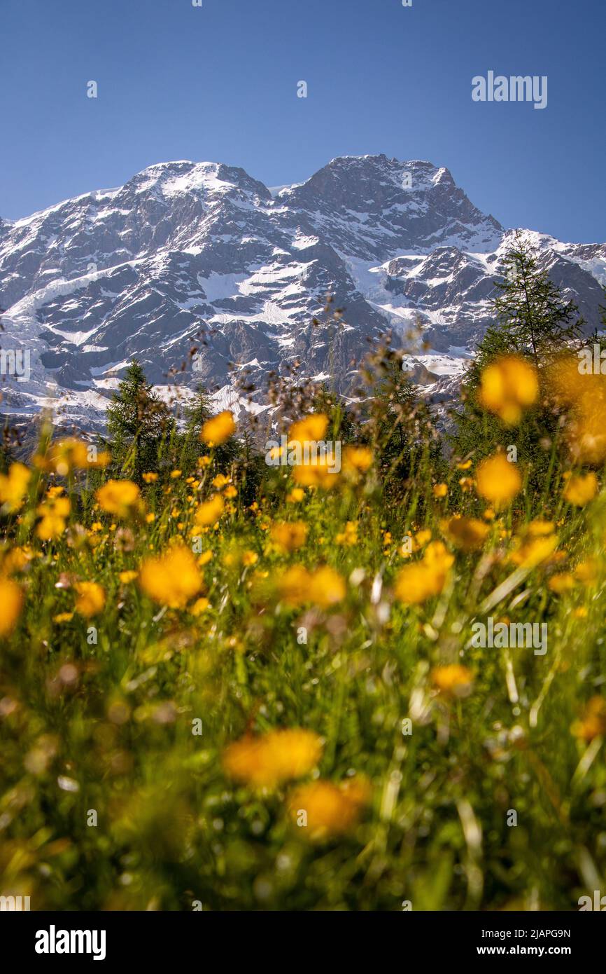 Italian Mountainscape (Monte Rosa) Stock Photo