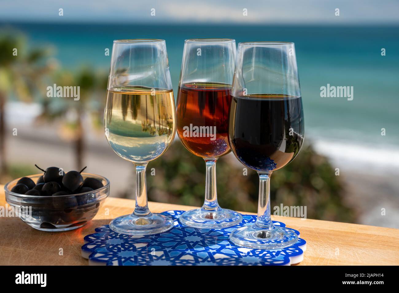 Tasting of Spanish sweet and dry fortified Vino de Jerez sherry wine