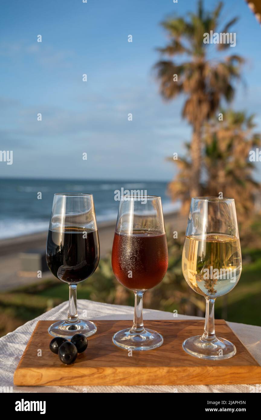 Tasting of Spanish sweet and dry fortified Vino de Jerez sherry wine