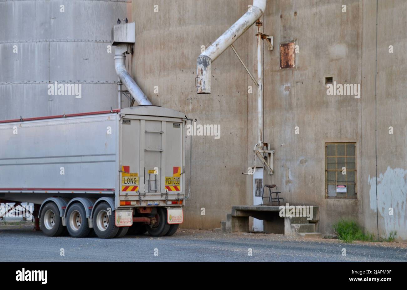 Road train truck loading up with grain from a silo via a hopper in regional Australian town of Rutherglen Stock Photo